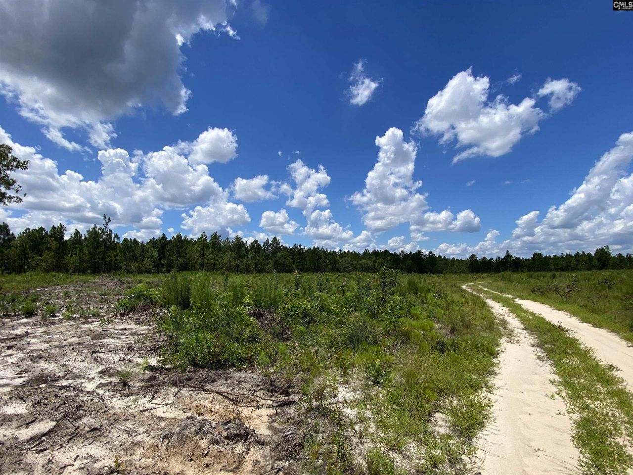 00 Bub Shumpert Road  Photo 5