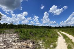 00 Bub Shumpert Road  photo 4