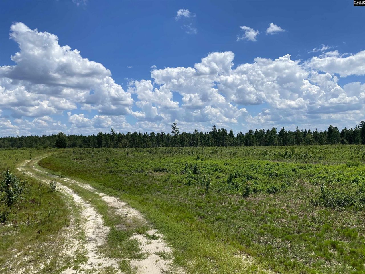 00 Bub Shumpert Road  Photo 6