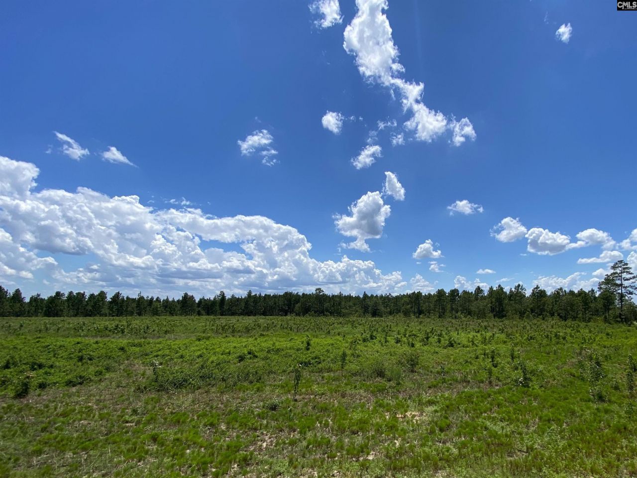 00 Bub Shumpert Road  Photo 7