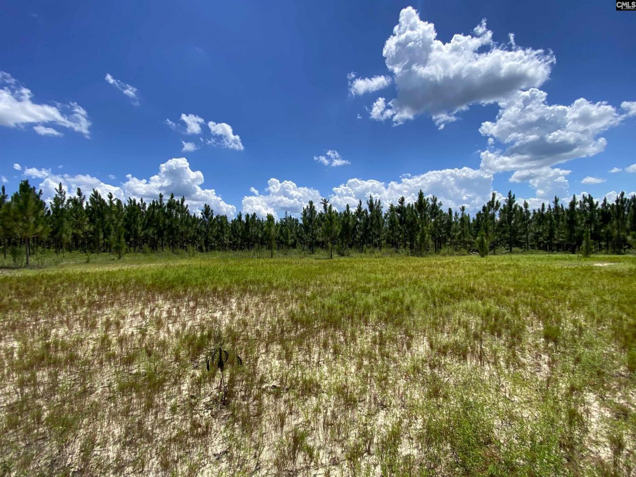 00 Bub Shumpert Road  Photo 8