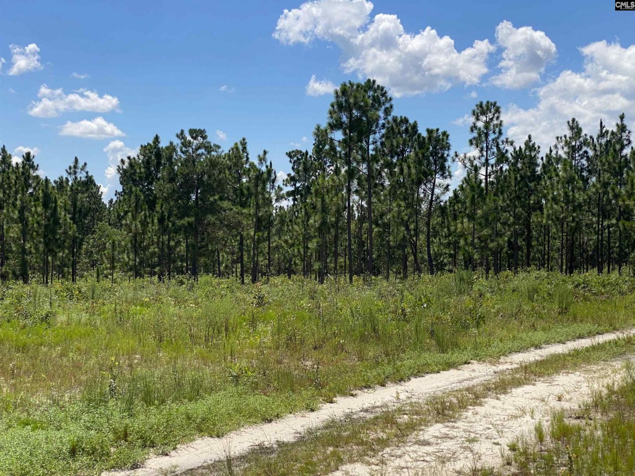 00 Bub Shumpert Road  Photo 9