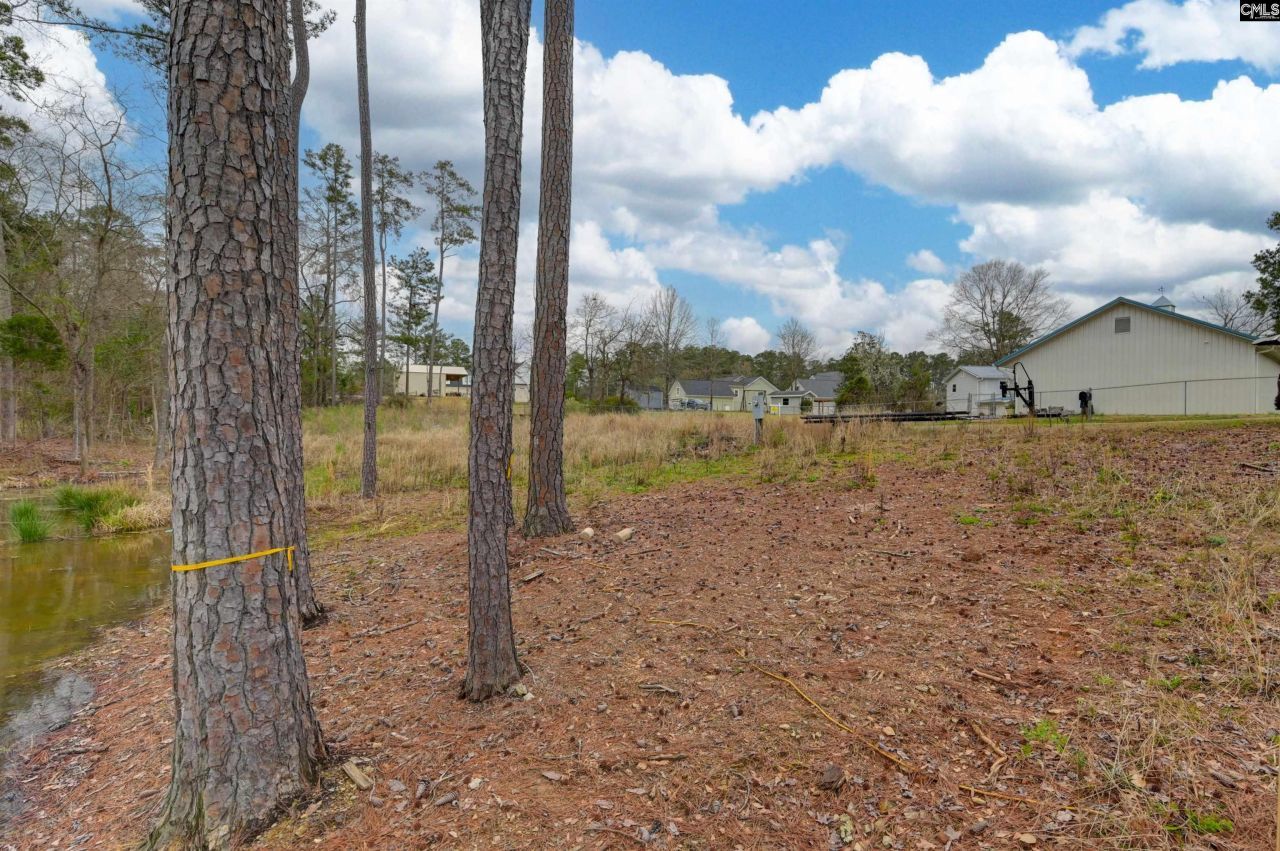 334 Breezy Bay Court Photo 5