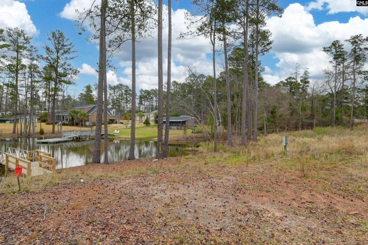 334 Breezy Bay Court Photo 6