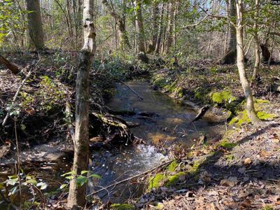 TBD 1 Juniper Road , Barnwell, SC 29843