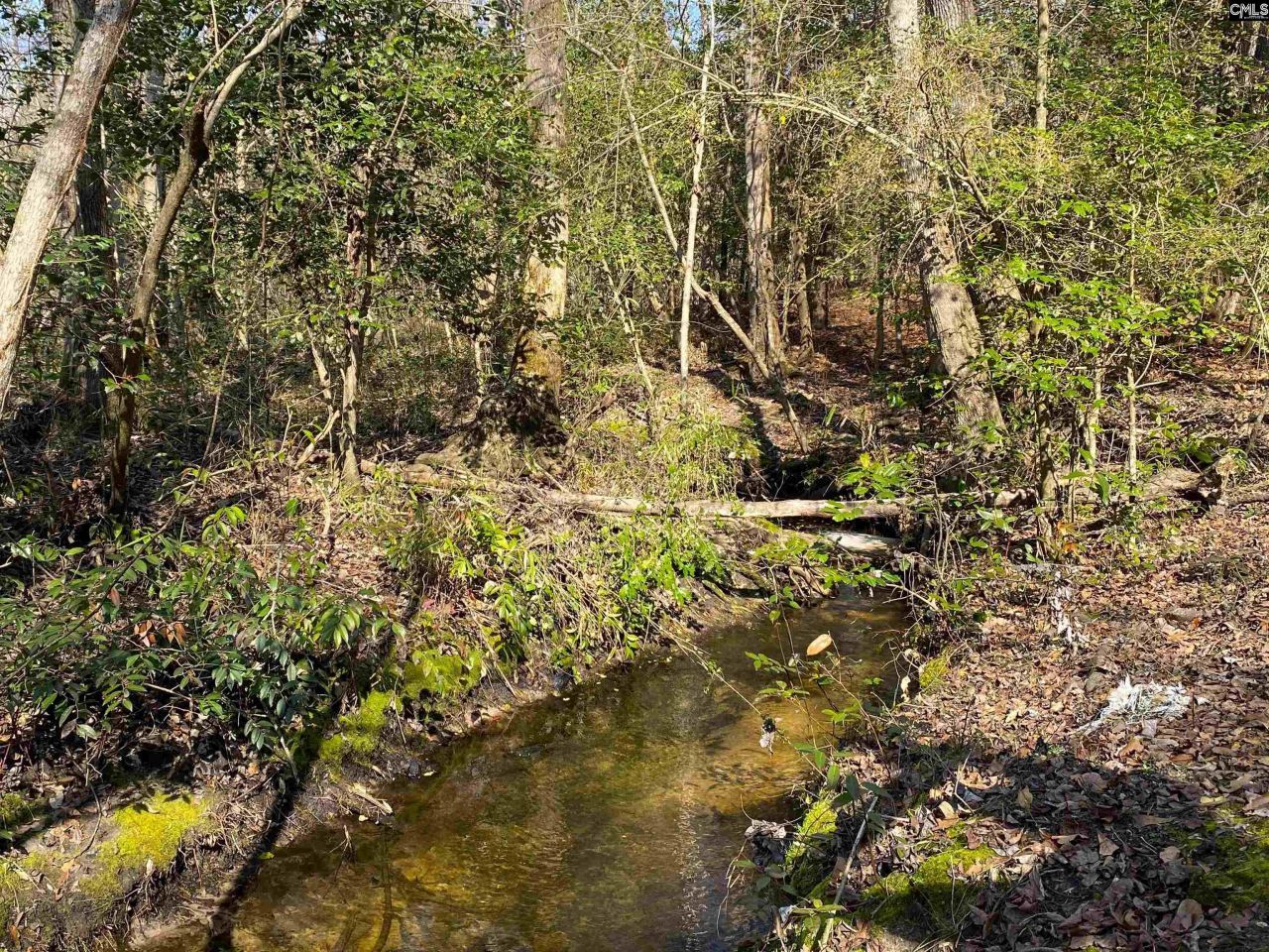 Tbd 1 Juniper Road  Photo 10