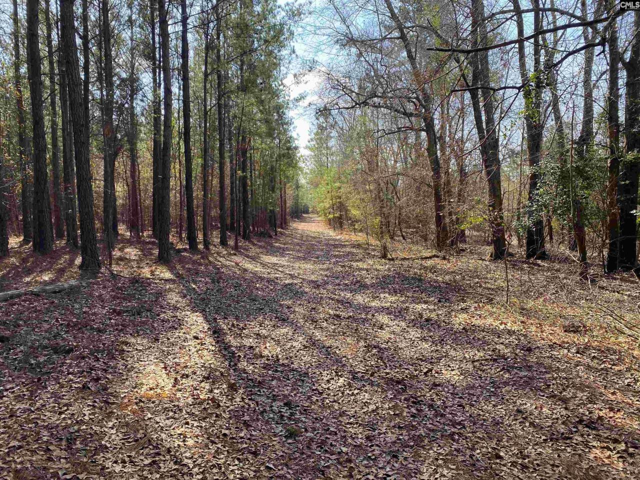 Tbd 1 Juniper Road  Photo 11