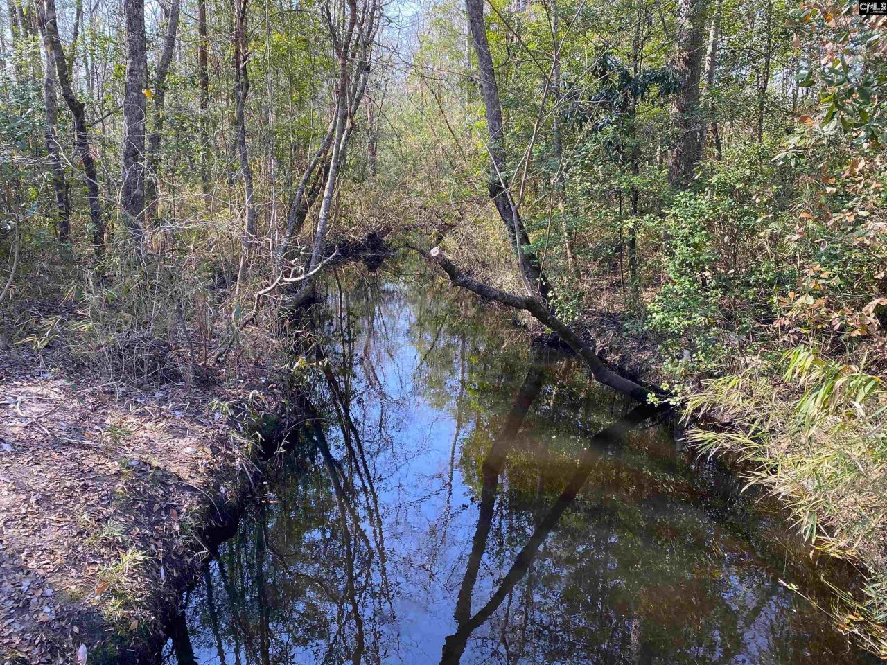 Tbd 1 Juniper Road  Photo 12