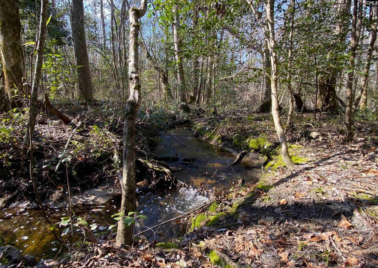 Tbd 1 Juniper Road  Photo 13