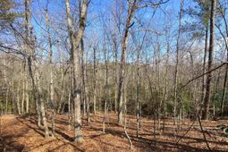 Tbd 1 Juniper Road  photo 4