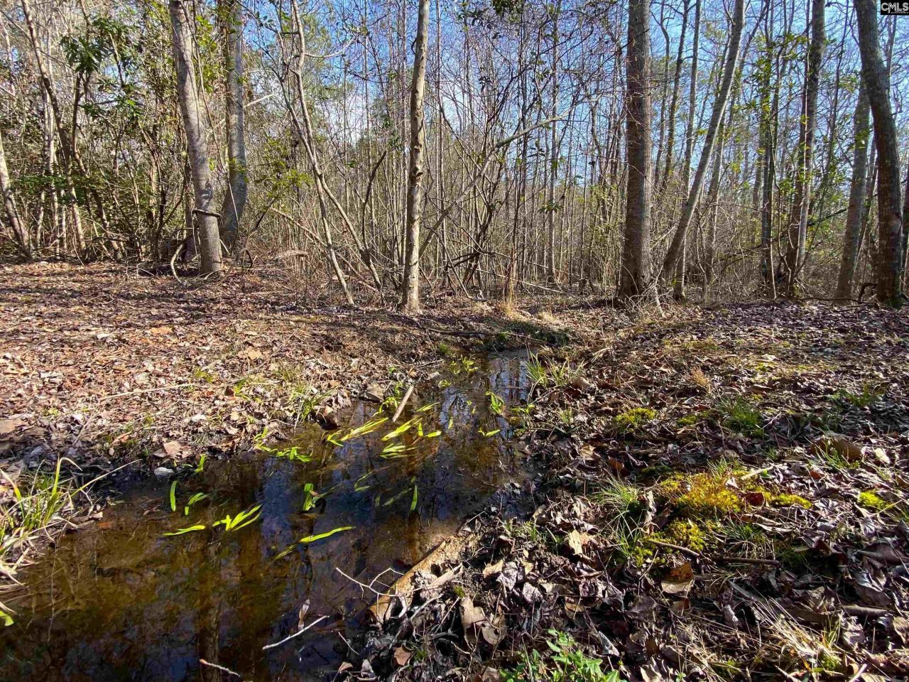 Tbd 1 Juniper Road  Photo 14