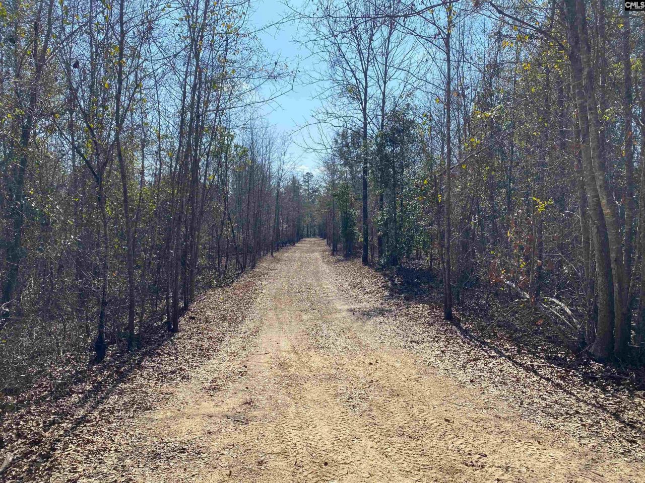 Tbd 1 Juniper Road  Photo 15