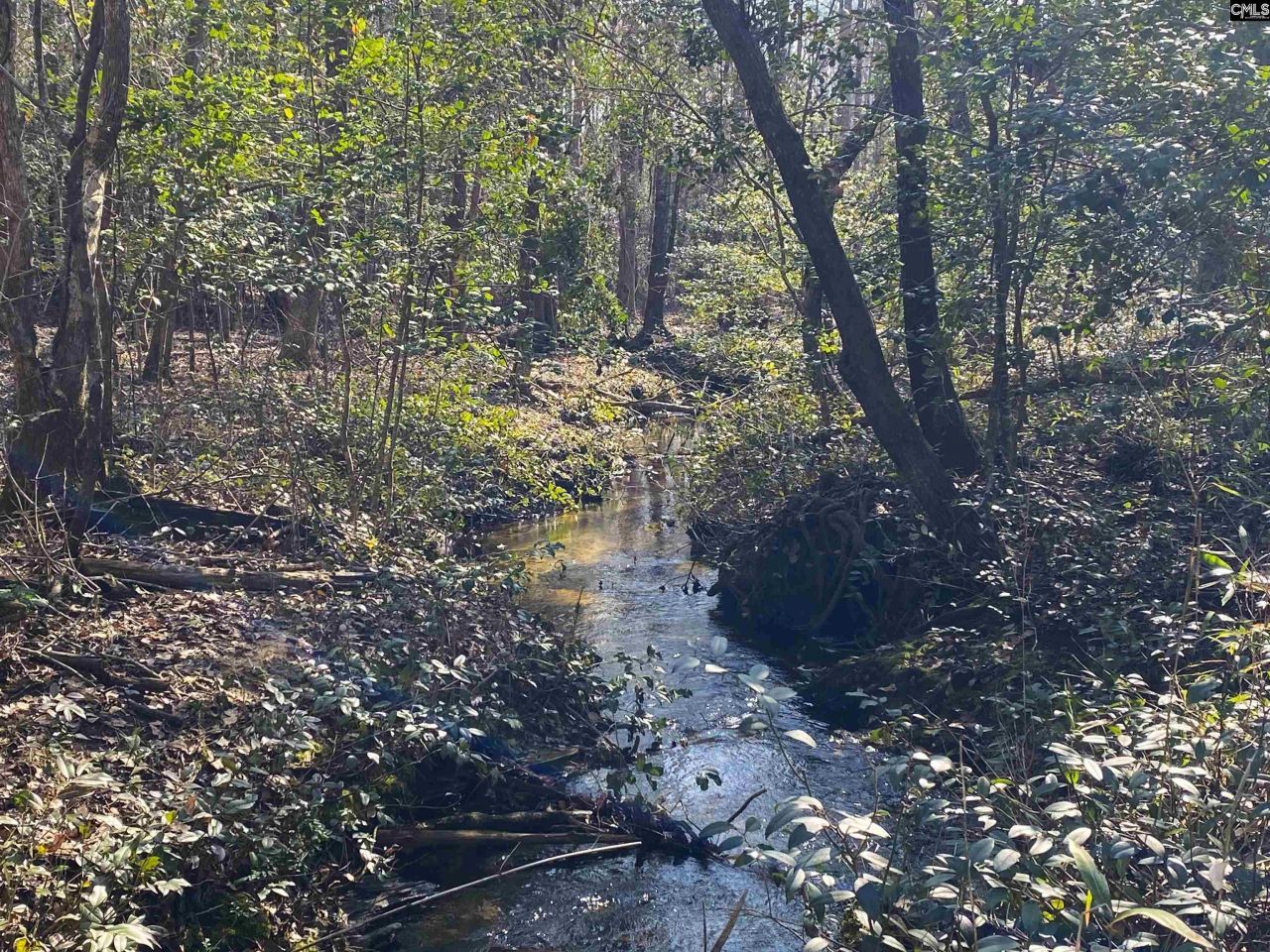 Tbd 1 Juniper Road  Photo 4