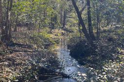 Tbd 1 Juniper Road  photo 4