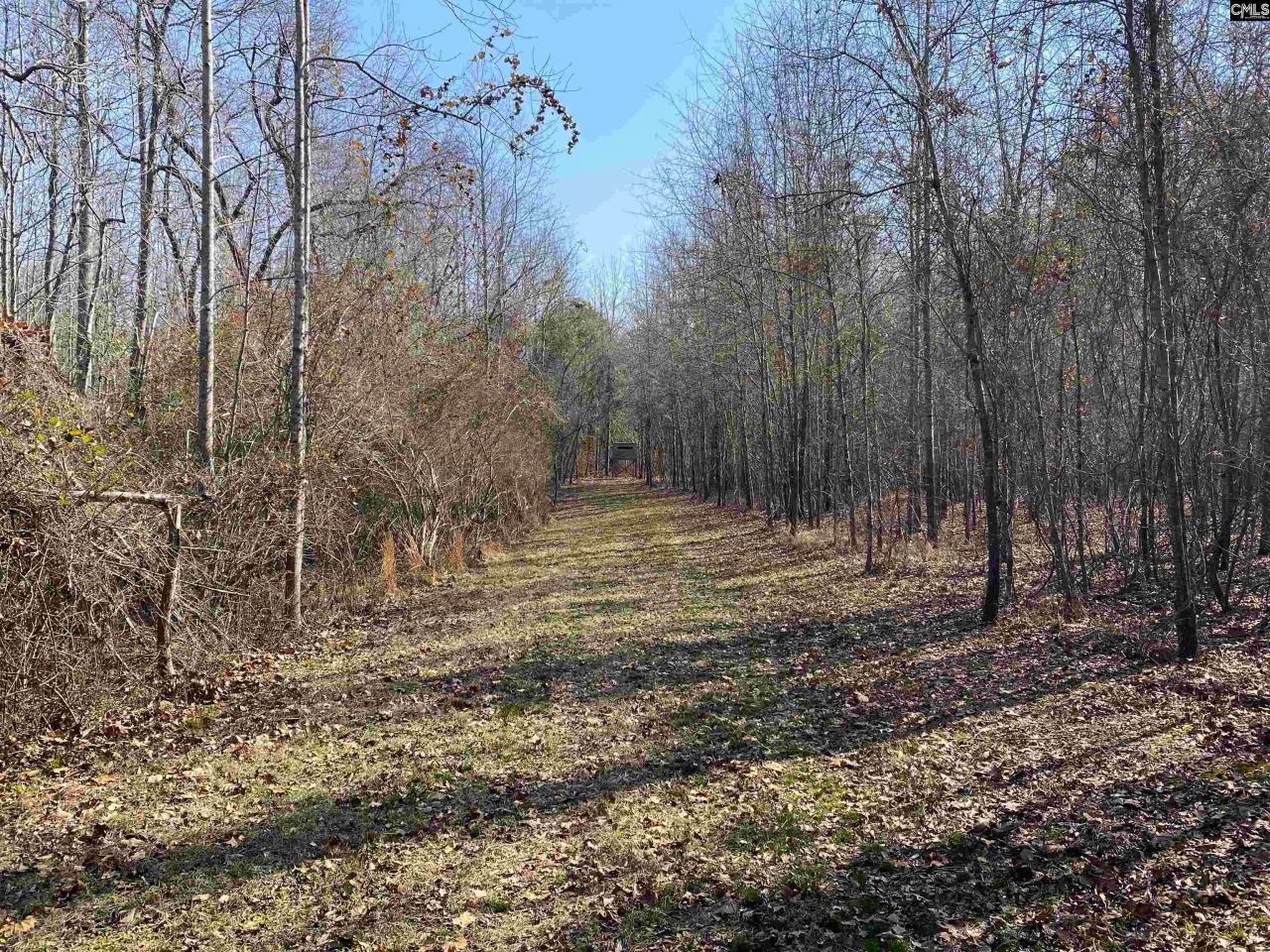 Tbd 1 Juniper Road  Photo 5