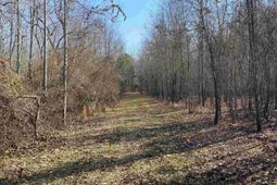 Tbd 1 Juniper Road  photo 4