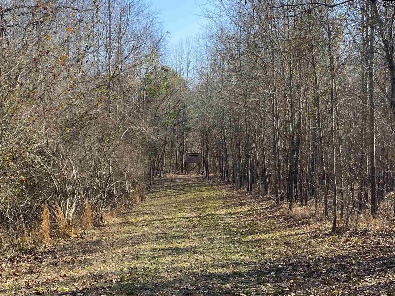 Tbd 1 Juniper Road  Photo 6