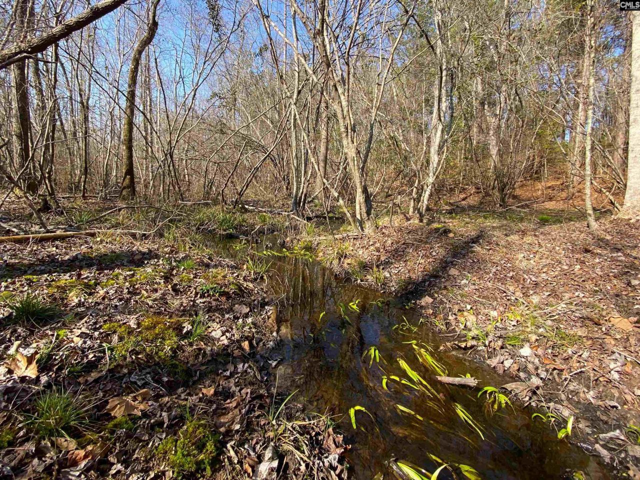 Tbd 1 Juniper Road  Photo 7