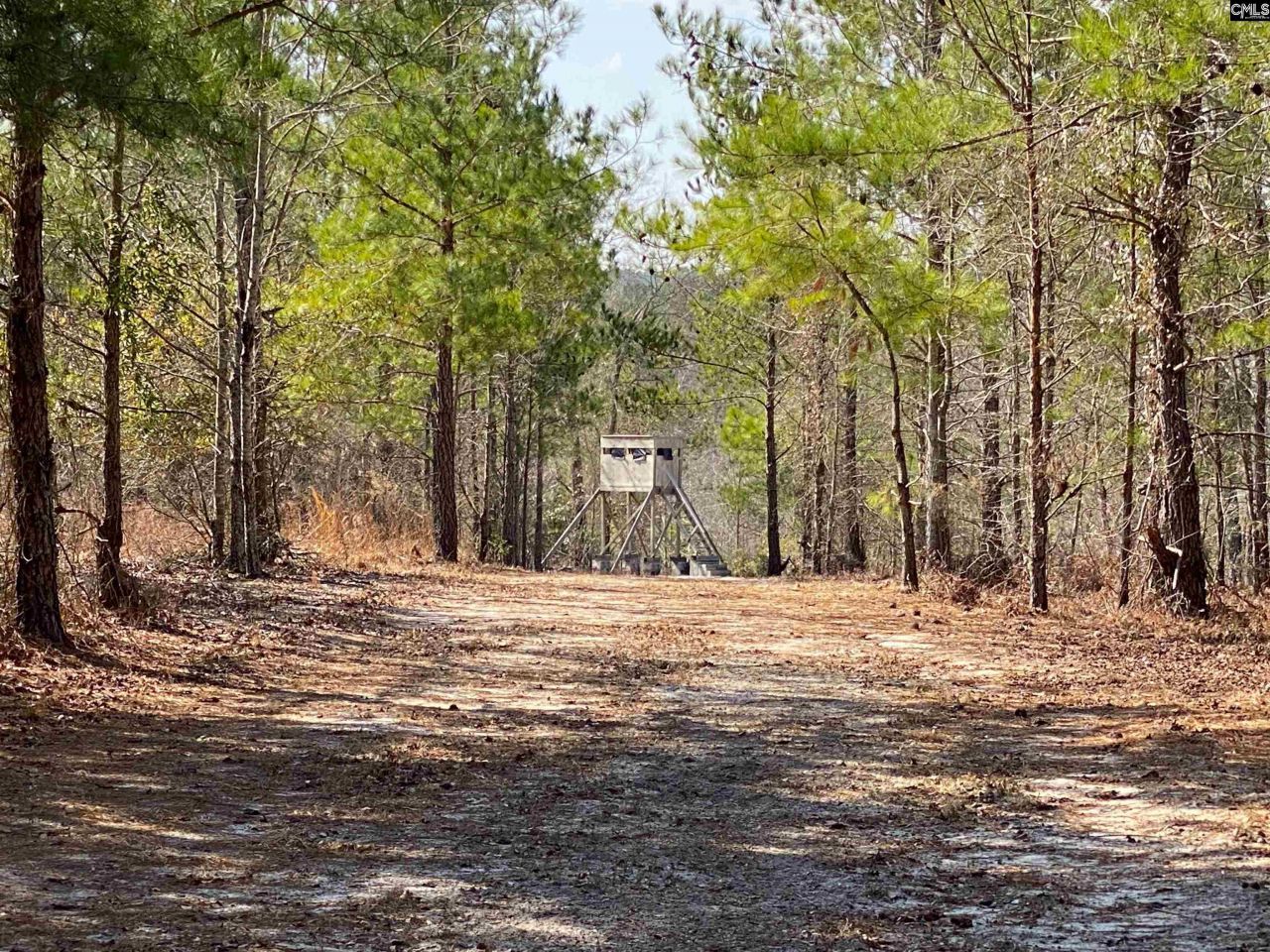 Tbd 1 Juniper Road  Photo 8