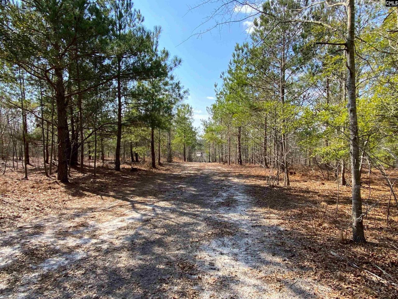 Tbd 1 Juniper Road  Photo 9