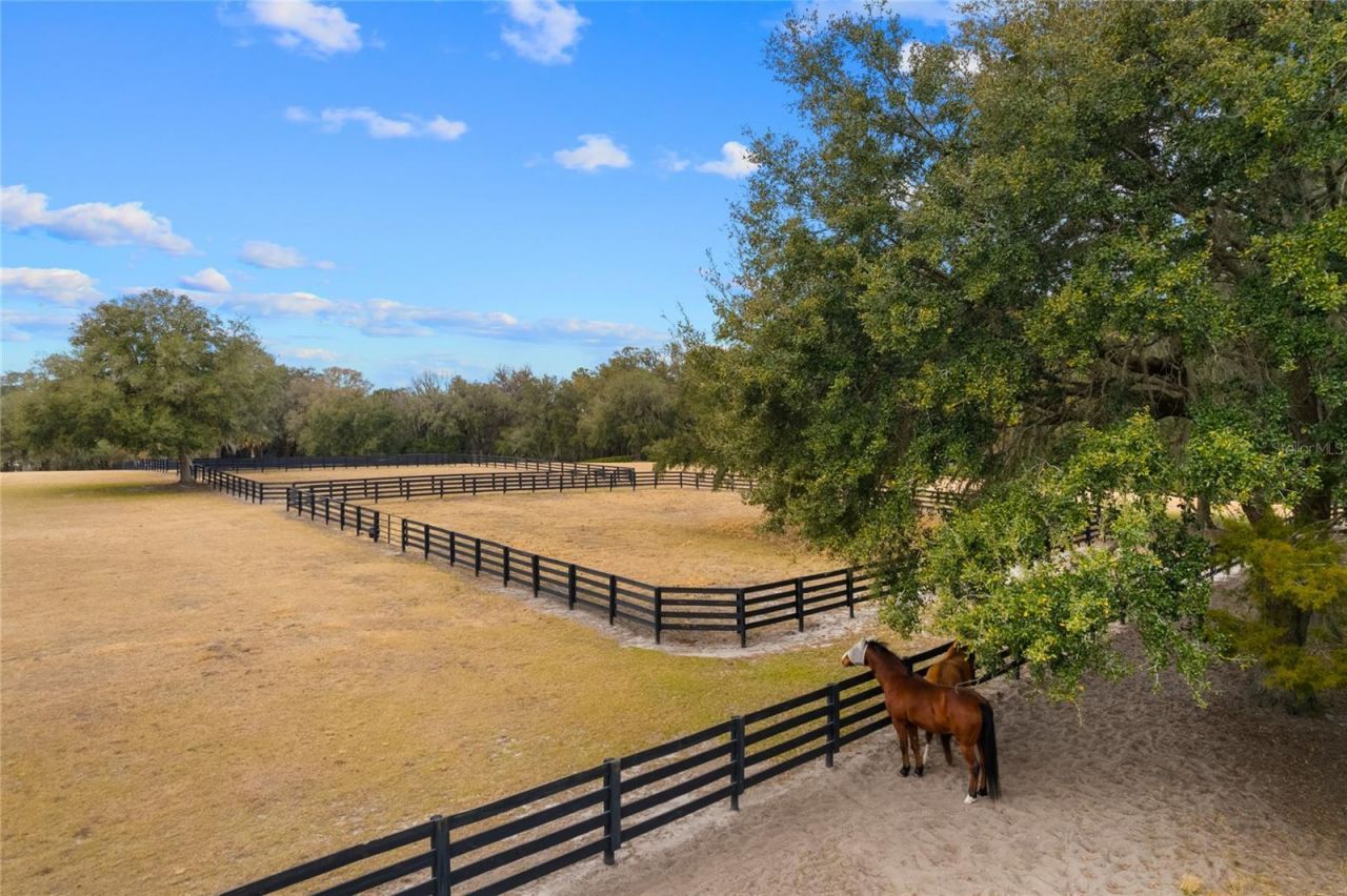 12350 NW Hwy 225 NW Hwy 225, Reddick, FL 32686 Photo