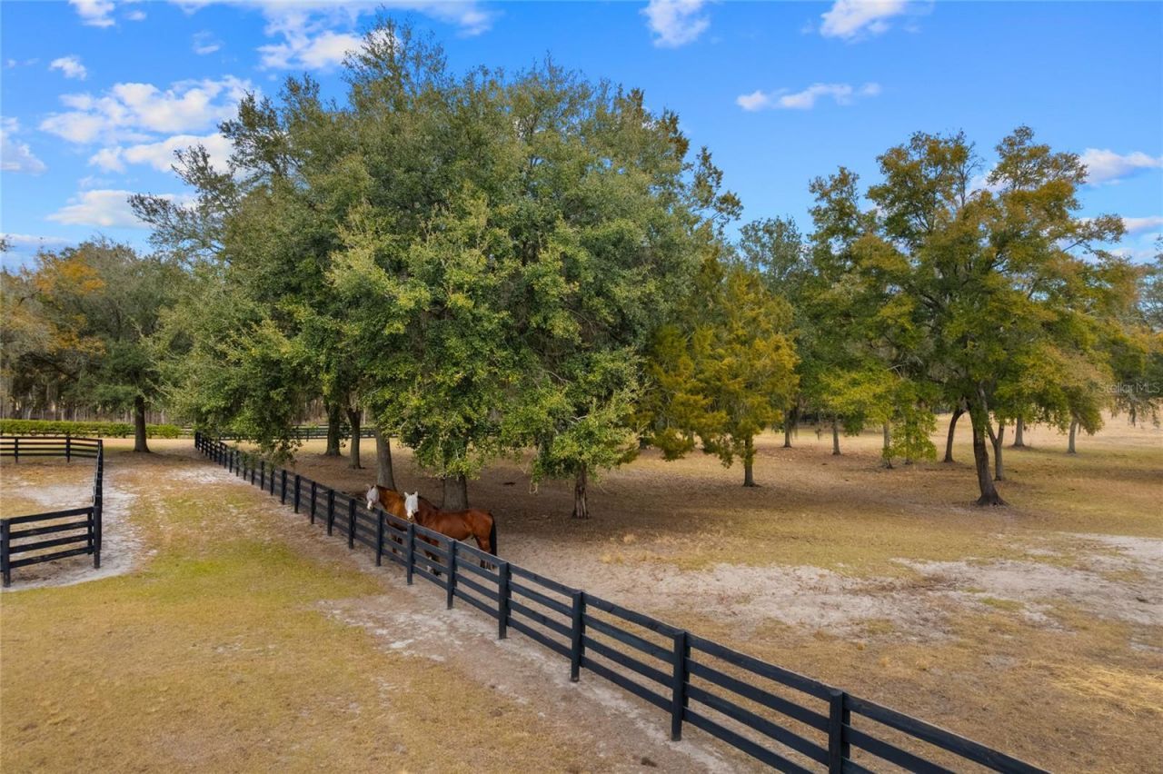 12350 NW Hwy 225 NW Hwy 225, Reddick, FL 32686 Photo