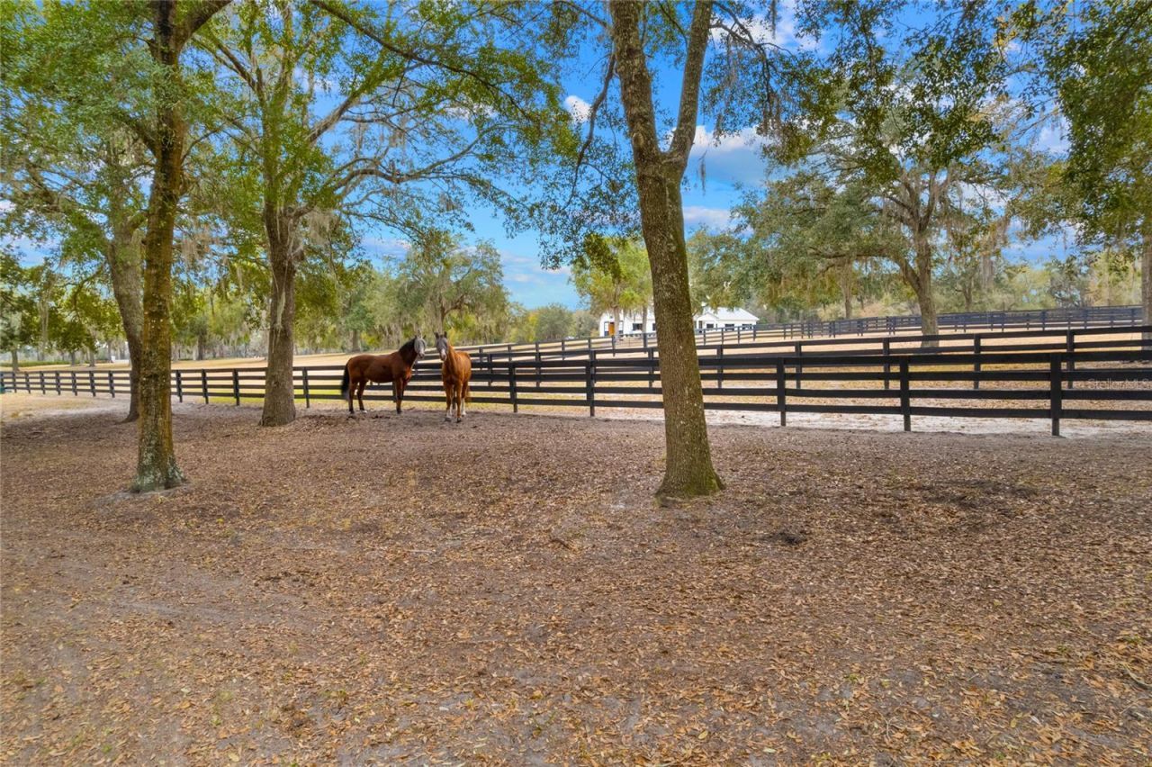 12350 NW Hwy 225 NW Hwy 225, Reddick, FL 32686 Photo