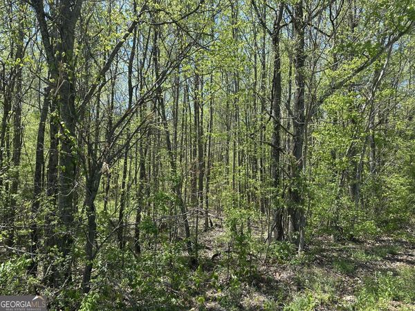 0 N. 411 HWY Highway, Eton, GA 30705