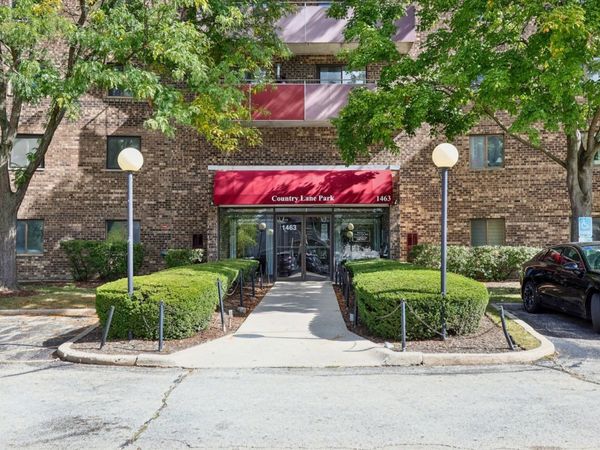 1463 Mercury Drive, Unit 309, Schaumburg, IL 60193