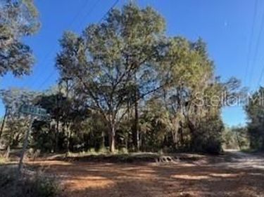 TBD NE 135 AVENUE, FORT MC COY, FL 32134