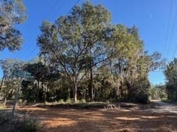 TBD NE 135 AVENUE, FORT MC COY, FL 32134