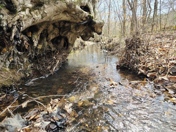 0 Birdsong Rd , Holladay, TN 38341