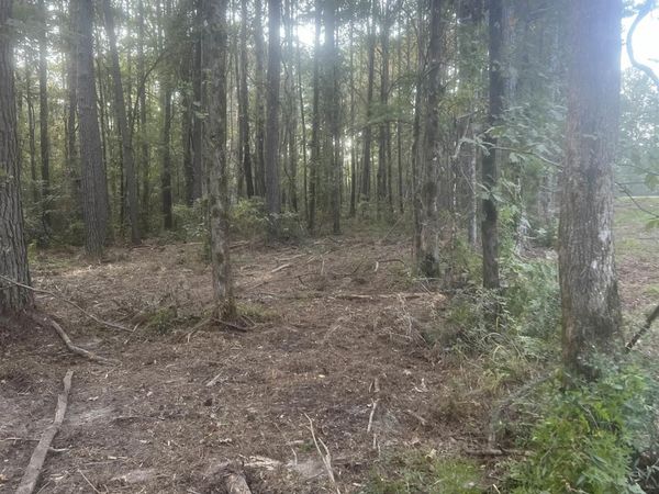 TBD-B2 La Hwy 10, Clinton, LA 70722