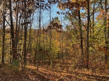 539 Fox Hill Road, Bernardston, MA 01337