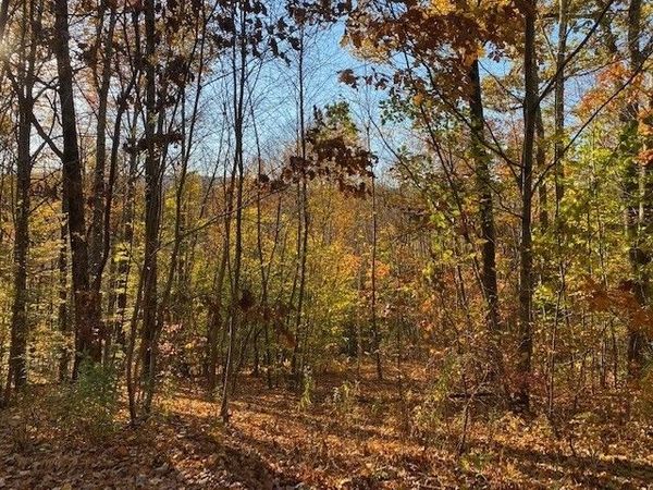 539 Fox Hill Road, Bernardston, MA 01337