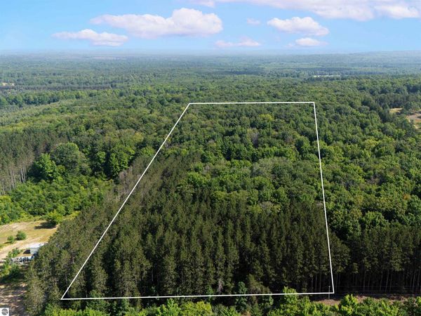 Phelps Road W, Manton, MI 49663