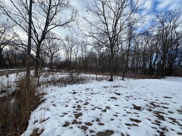 106 W Washington Street, New Buffalo, MI 49117