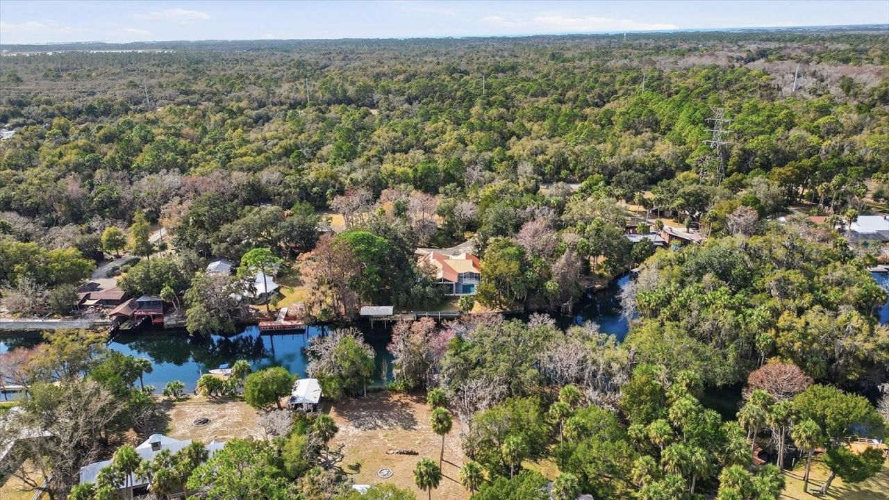 11405 N Honey Jorden Point, Inglis, FL 34449 Photo