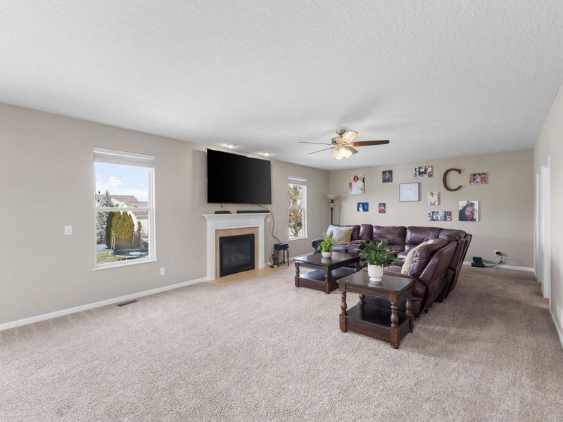 223 Antrim Street, Pickerington, OH 43147 Photo 6