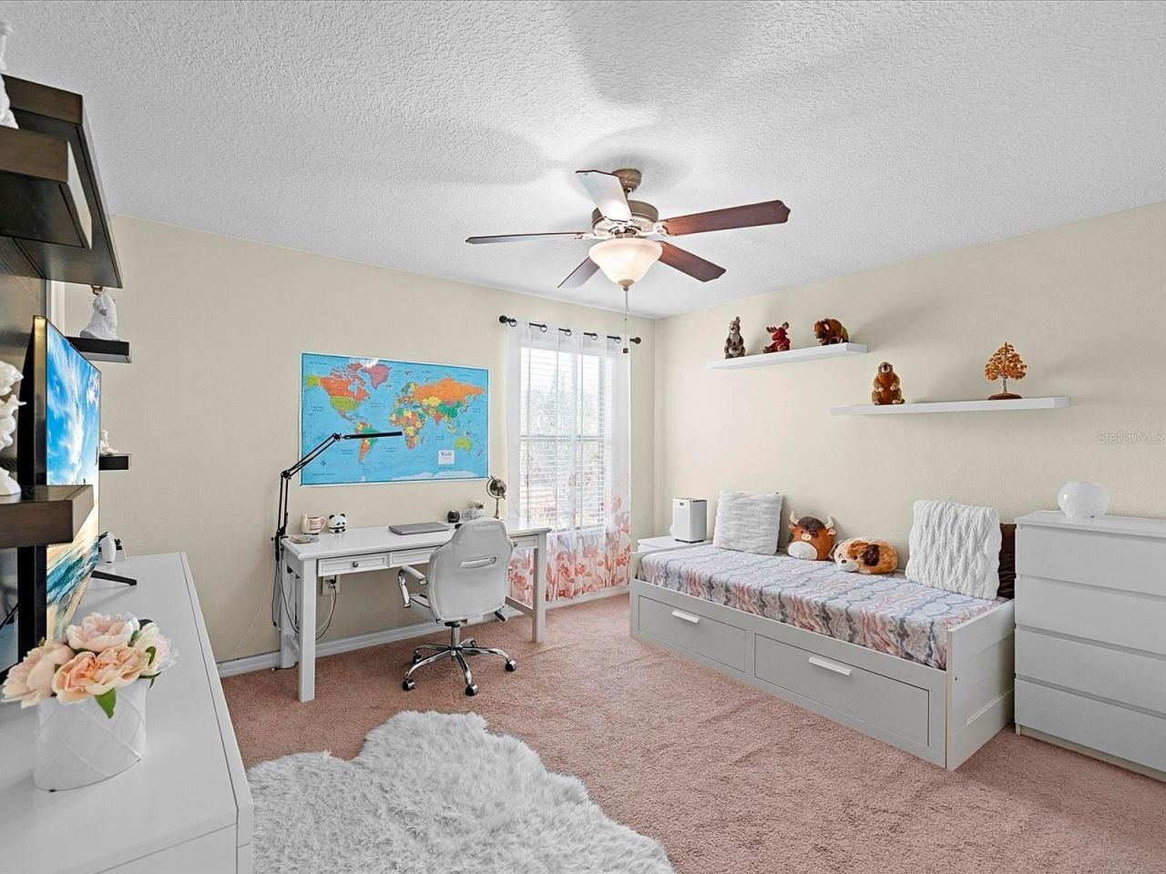 1716 Hadden Hall Place, Trinity, FL 34655 Photo