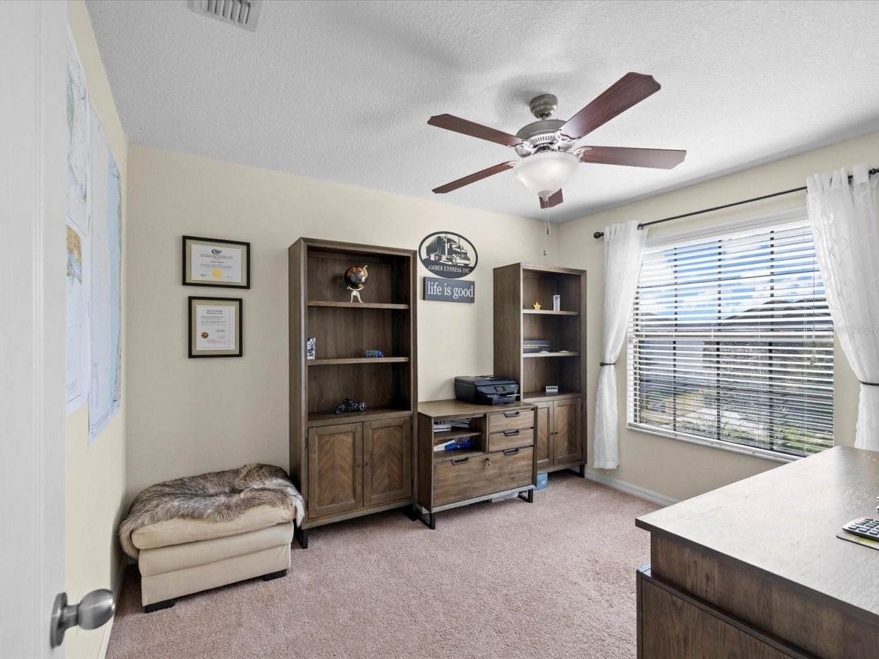 1716 Hadden Hall Place, Trinity, FL 34655 Photo