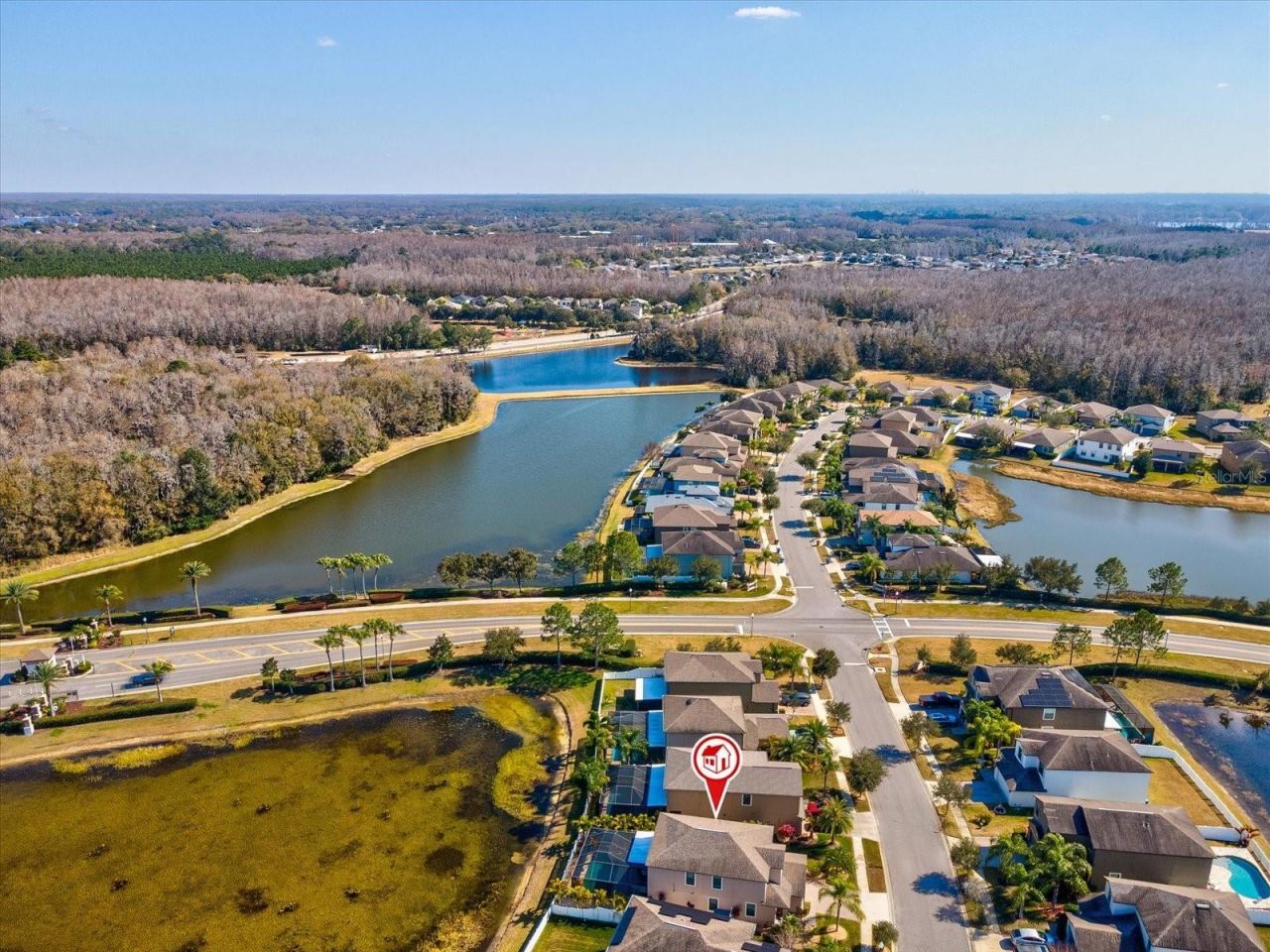 1716 Hadden Hall Place, Trinity, FL 34655 Photo