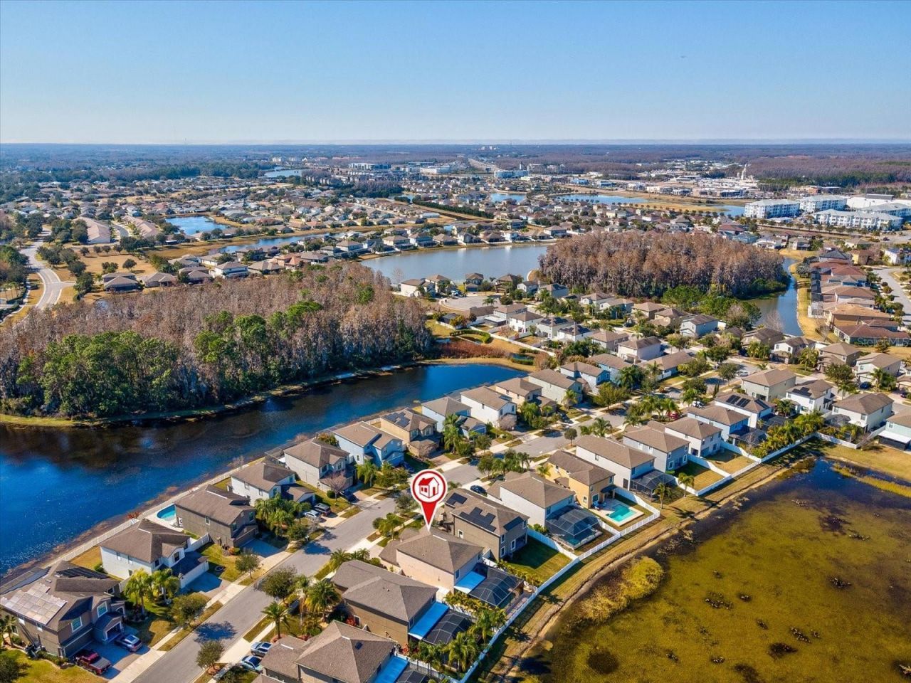 1716 Hadden Hall Place, Trinity, FL 34655 Photo