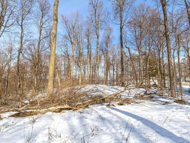 0 Eaglenest Road, Zanesfield, OH 43360 Photo 10