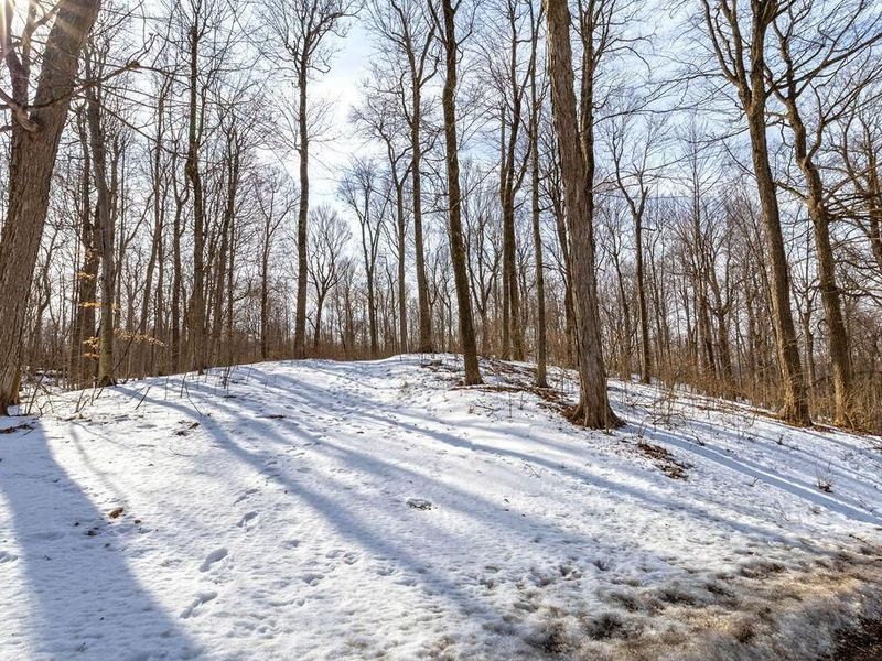 0 Eaglenest Road, Zanesfield, OH 43360 Photo 11