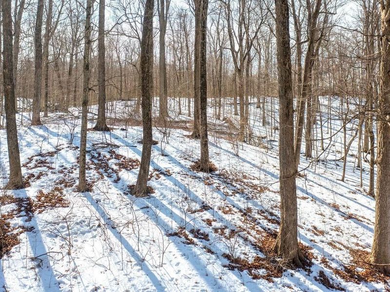 0 Eaglenest Road, Zanesfield, OH 43360 Photo 26