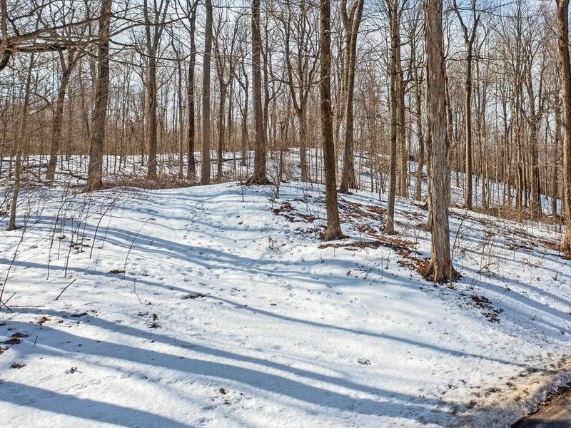 0 Eaglenest Road, Zanesfield, OH 43360 Photo 27