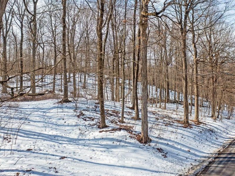 0 Eaglenest Road, Zanesfield, OH 43360 Photo 28