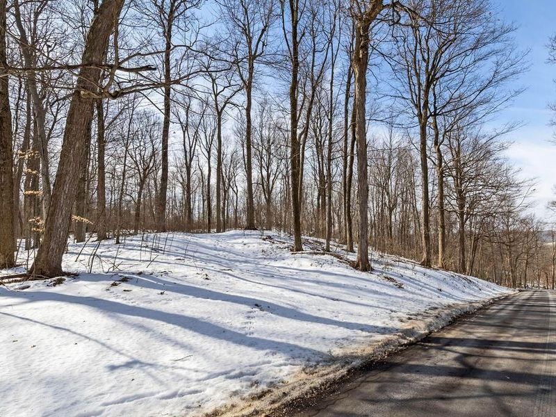 0 Eaglenest Road, Zanesfield, OH 43360 Photo 3