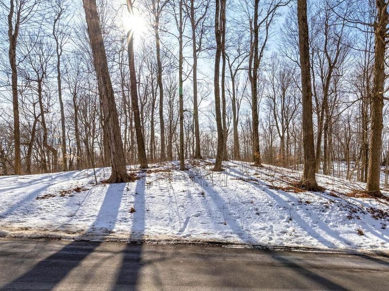 0 Eaglenest Road, Zanesfield, OH 43360 Photo 4